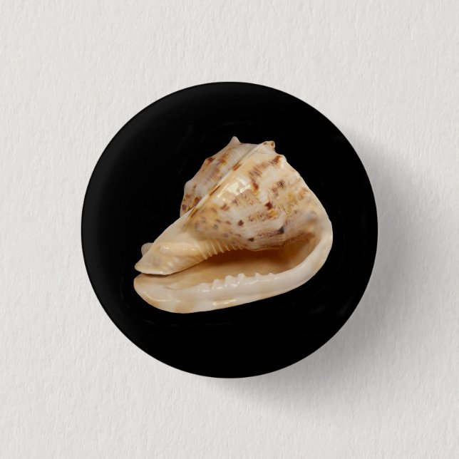 Chapa Redonda De 2,5 Cm Insignia Conch Shell (Anverso)