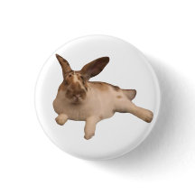 Insignia de Zesty Paddy