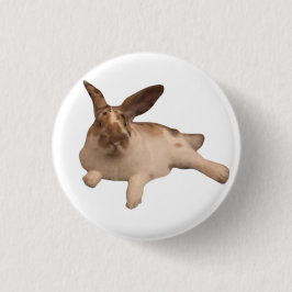 Chapa Redonda De 2,5 Cm Insignia de Zesty Paddy