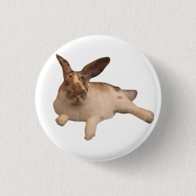 Chapa Redonda De 2,5 Cm Insignia de Zesty Paddy (Anverso)