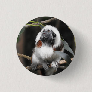 Chapa Redonda De 2,5 Cm Insignia del Tamarin