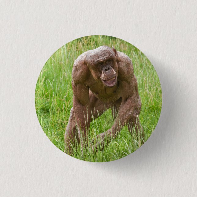 Chapa Redonda De 2,5 Cm Jambo El Único Chimpancé Sin Cabello (Anverso)