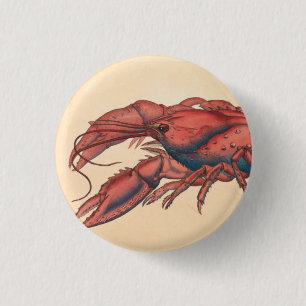 Chapa Redonda De 2,5 Cm James Sowerby Serrate Lobster
