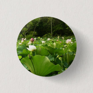 Chapa Redonda De 2,5 Cm Jardín de verano de Lotus Flowers