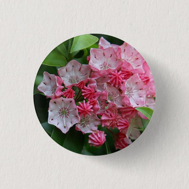 Chapa Redonda De 2,5 Cm Kalmias con forma de estrella (Anverso)