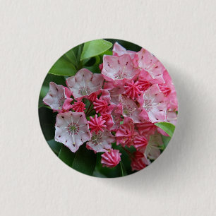 Chapa Redonda De 2,5 Cm Kalmias con forma de estrella