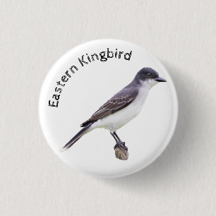Chapa Redonda De 2,5 Cm Kingbird
