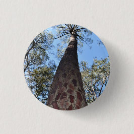Chapa Redonda De 2,5 Cm La Gerche Ponderosa Pine Badge
