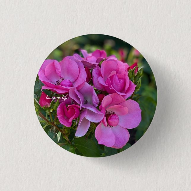 Chapa Redonda De 2,5 Cm lavender Pink Rose (Anverso)