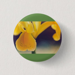 Chapa Redonda De 2,5 Cm Lirio amarillo