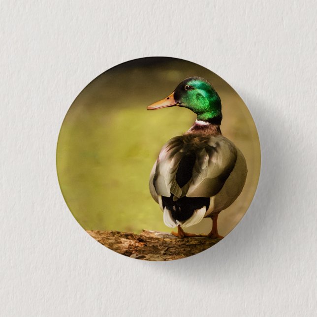 Chapa Redonda De 2,5 Cm Mallard Duck (Anverso)