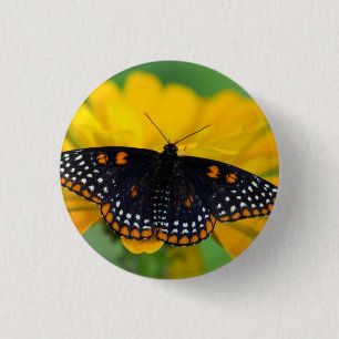 Chapa Redonda De 2,5 Cm Mariposa de mancha cuadriculada de Baltimore