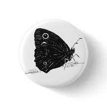 Mariposa Monocromo