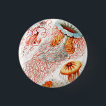 Chapa Redonda De 2,5 Cm Marisco, Discomedusae de Ernst Haeckel<br><div class="desc">Jellyfish,  Discomedusae Scheibenquallen por Ernst Haeckel Button</div>