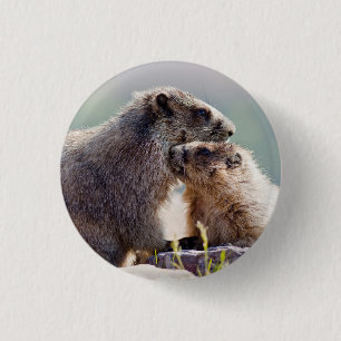 Chapa Redonda De 2,5 Cm Marmot Mother with Baby