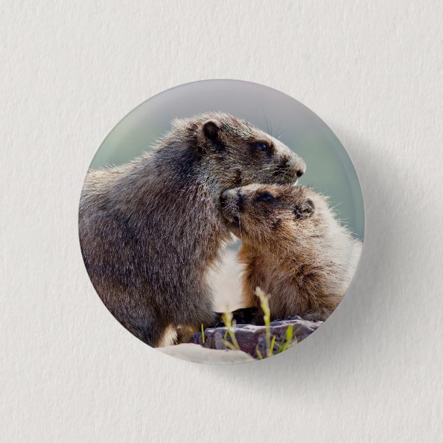 Chapa Redonda De 2,5 Cm Marmot Mother with Baby (Anverso)