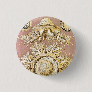 Chapa Redonda De 2,5 Cm Medusas, Discomedusae por Ernst Haeckel