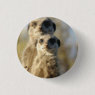 Chapa Redonda De 2,5 Cm Meerkat