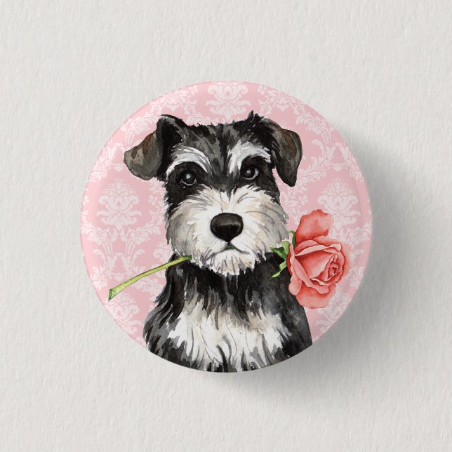 Chapa Redonda De 2,5 Cm Mini Schnauzer subió tarjeta del día de San (Anverso)