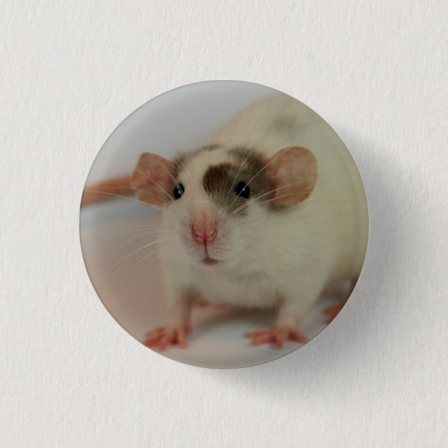 Chapa Redonda De 2,5 Cm Mink dumbo Rat (Anverso)