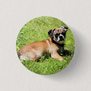 Chapa Redonda De 2,5 Cm Molly