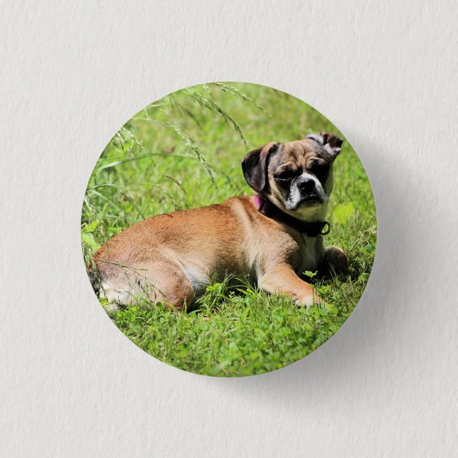 Chapa Redonda De 2,5 Cm Molly (Anverso)