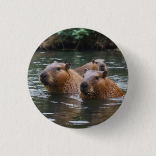 Chapa Redonda De 2,5 Cm Nadando de capybaras en el río, 