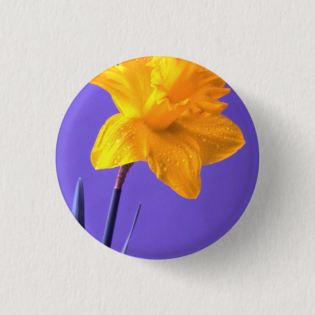 Chapa Redonda De 2,5 Cm Narciso (Anverso)