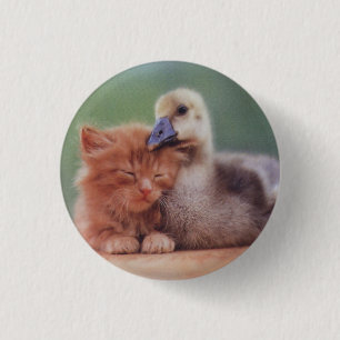 Chapa Redonda De 2,5 Cm ¡Nosotros se se gusta!