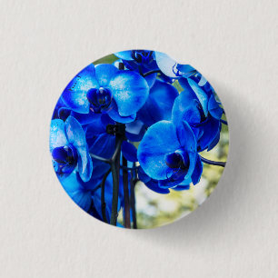 Chapa Redonda De 2,5 Cm Orquídeas azules