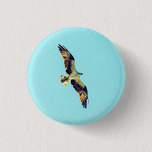 Chapa Redonda De 2,5 Cm Osprey art