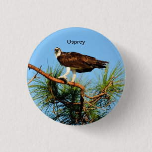 Chapa Redonda De 2,5 Cm Osprey en el salvaje
