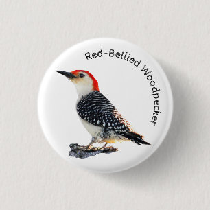 Chapa Redonda De 2,5 Cm Pájaro carpintero rojo