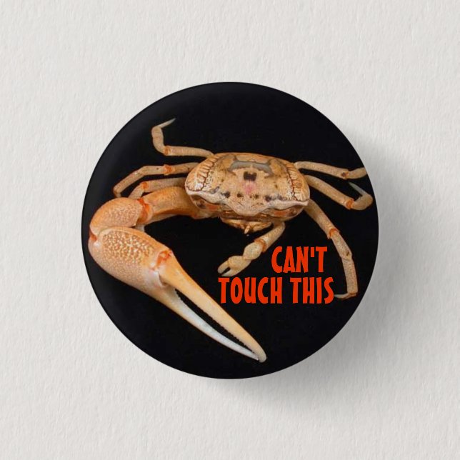 Chapa Redonda De 2,5 Cm Pare el tiempo del Fiddler (Anverso)