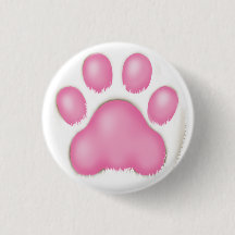 pata de un gato lindo