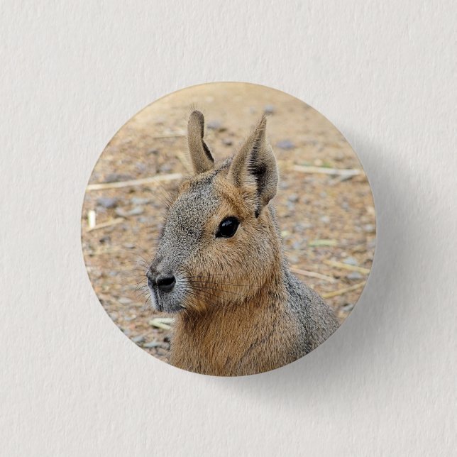 CHAPA REDONDA DE 2,5 CM PATAGONIAN MARA (Anverso)