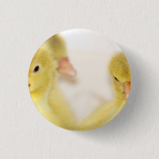 Chapa Redonda De 2,5 Cm Patitos Amarillos Esponjosos