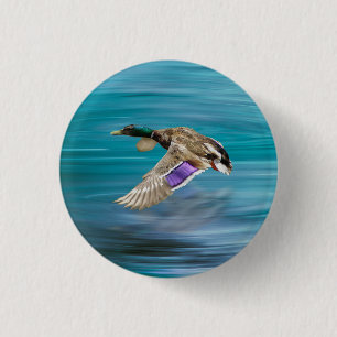 Chapa Redonda De 2,5 Cm Pato mallard volando