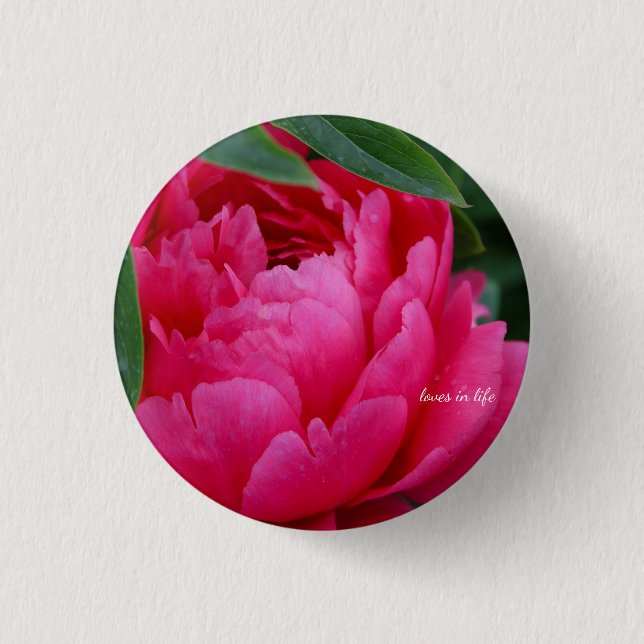 Chapa Redonda De 2,5 Cm Peony rosado de Bashful (Anverso)