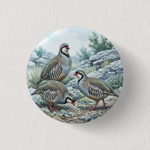Chapa Redonda De 2,5 Cm Perdiz Griega ,Alectoris Graeca Aves de Caza