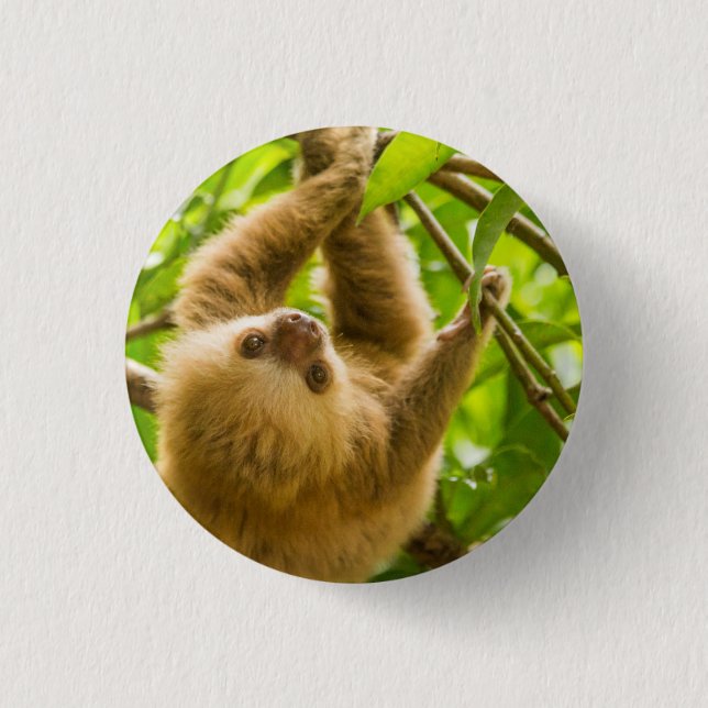 Chapa Redonda De 2,5 Cm Pereza al revés de las imágenes el | de Getty (Anverso)