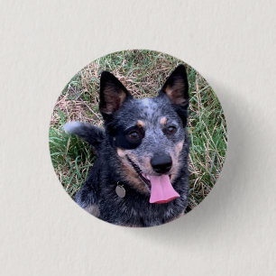 Chapa Redonda De 2,5 Cm Perro de ganado australiano