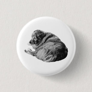 Chapa Redonda De 2,5 Cm Perro realista tranquilo comparte pin de estilo na