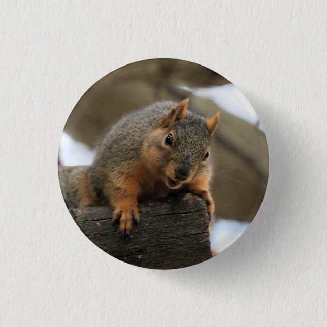 Chapa Redonda De 2,5 Cm Pfft (Anverso)