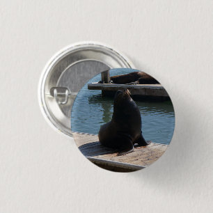 Chapa Redonda De 2,5 Cm Pier de San Francisco 39 leones marinos #3-2 boton