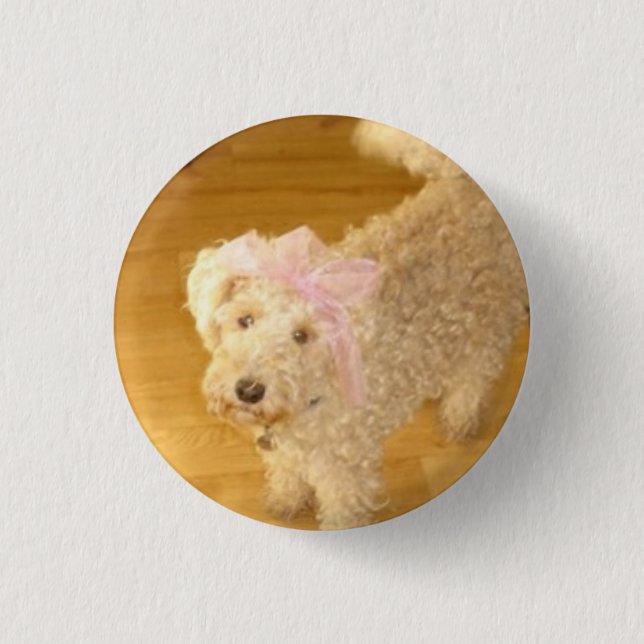 Chapa Redonda De 2,5 Cm Pin (Anverso)