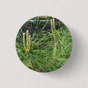Chapa Redonda De 2,5 Cm Pine Needles por Kenneth Yoncich