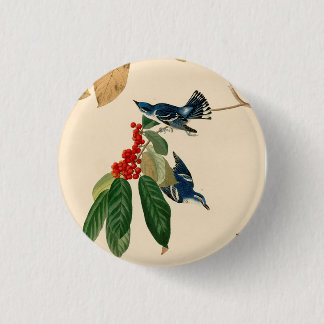 Chapa Redonda De 2,5 Cm Pintura de pájaro vintage audubon cerulean Warbler