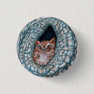 Chapa Redonda De 2,5 Cm Poco Owlette