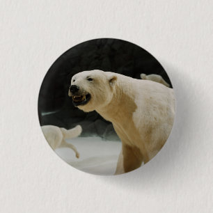 Chapa Redonda De 2,5 Cm Polar Bear Grin